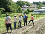 イノシシ柵設置