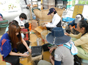 イネ刈り準備
