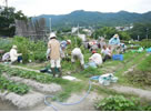 生育状況確認
